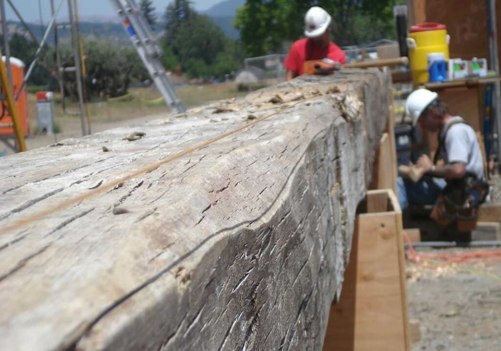 Professional Construction Project Management | About Us